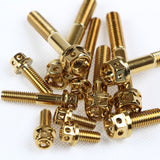 Factory wholesale gold-plated hexagonal titanium screws