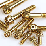 Factory wholesale gold-plated hexagonal titanium screws